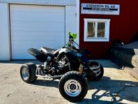 Polaris Ninja 600R 130HK