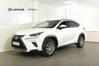 Lexus NX 300h AWD Comfort