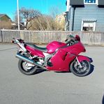 Honda CBR1100XX BLACKBIRD