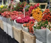 Väletablerad och lönsam blomsterbutik i Norrort