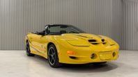Pontiac Trans Am Collector Edition / Cab / LS1 V8 / WS6