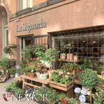 Butikslokal - Döbelnsgatan - Vasastan