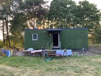 Naturnära boende på ekologisk gård