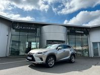 Lexus NX 300h Executive Pr-Navi Drag Panorama AWD 2.5 E-CVT