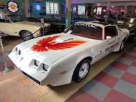 Pontiac Trans Am Nascar Tribute -79