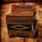 Durspel DISE Woody
