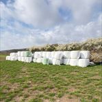 Ensilagebalar