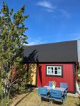 Härliga Byxelkrok på n Öland