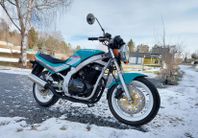 Suzuki Cycles GS500E