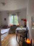 Rum uthyres - lägenhet i Uppsala - 1 rum, 17m²