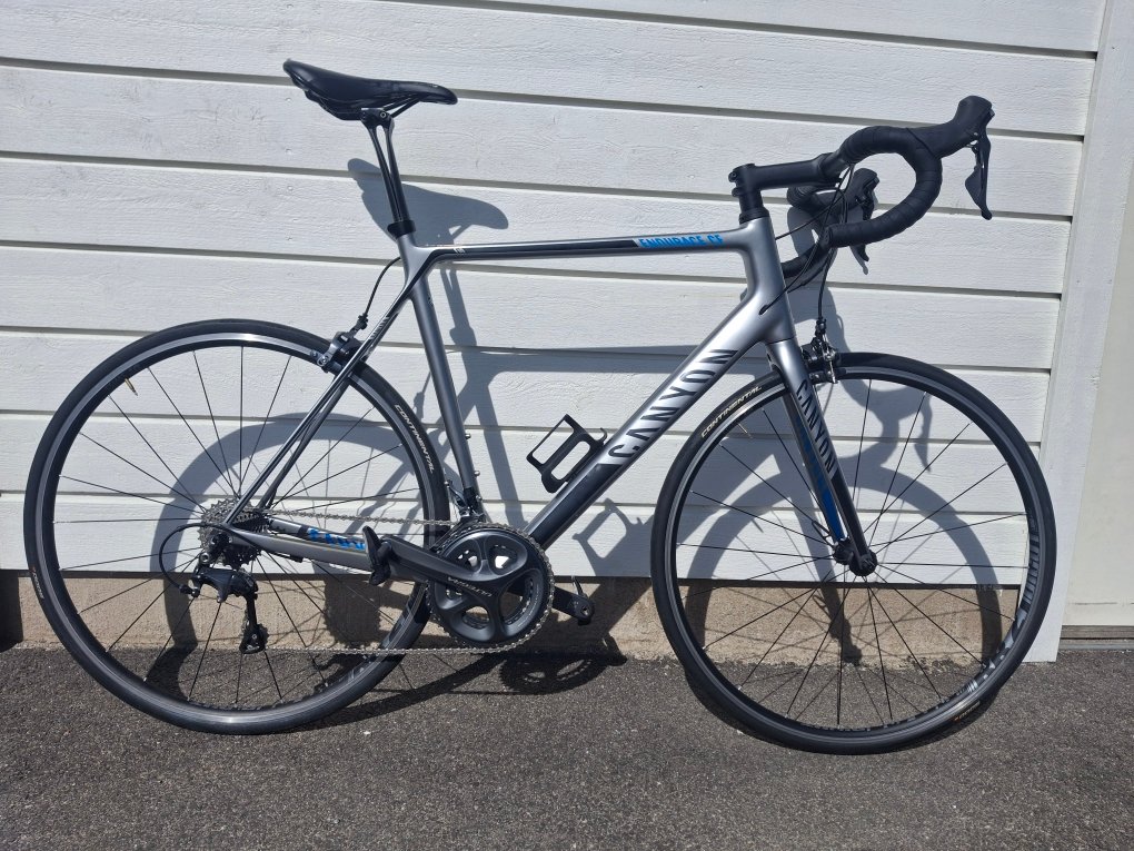 Canyon Endurance CF racer beg...