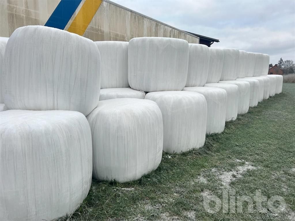 Ensilagebalar 10st - Analys f...