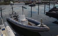Ribeye RCL 890