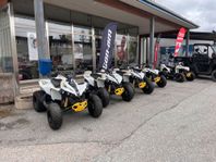 Can-Am Renegade EFI 110 till superpris!