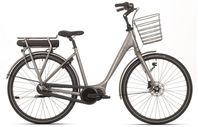 Frappé FSC 400 - 54 cm
