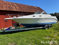 Båt Sea Ray Sundancer 270