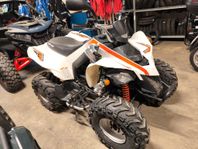 Can-Am DS 250