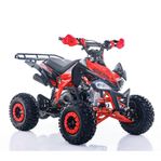 Viarelli Agrezza 110cc V2 – Fyrhjuling