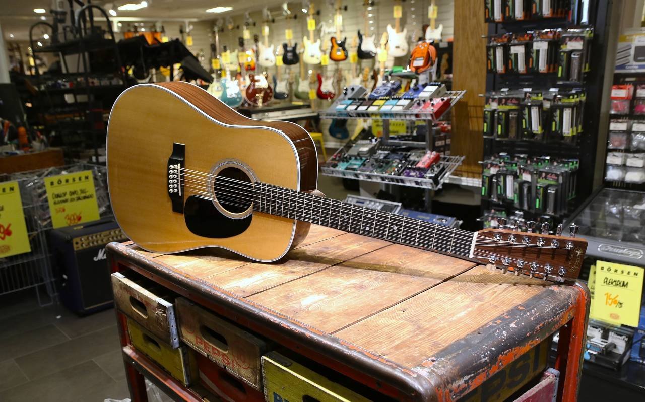 Martin & Co D12-28 12 stränga...