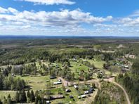 Skog samt fäbodställe i Orsa/Högståsen