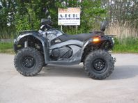 Goes Iron  500