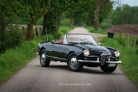 Alfa Romeo Giulia Spider 1600 1964