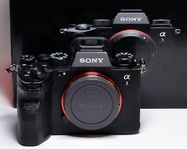 Sony Alpha 1