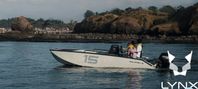 Goldfish LYNX catamaran DEMO 15ft med Mercury 40 ELPT -24
