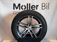 Vinterhjul Audi A6 Friktion - Goodyear 18 tum