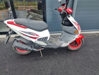 PGO Scooters t-rex 50 0.05 CVT