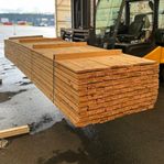 Paket Obehandlad Trall 22x95mm 4.80m 231st