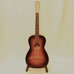 Gitarr Akustisk gitarr