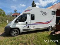 Hästtransport Citroën Jumper