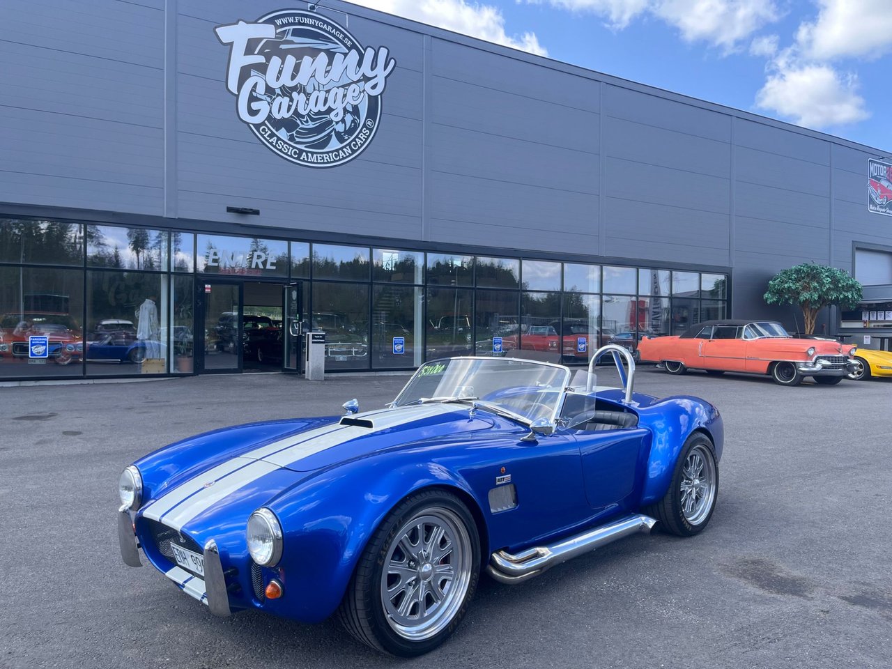 AC Cars Cobra V8 Manuell/SFRO...
