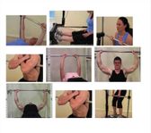 Fitnessmaskin Explosive Fitness via auktion