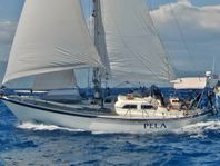 Tayana Vancouver 42