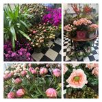 Blomsterbutik i Lund med A-läge (ID: 1652)