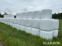 Höensilage