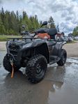 Goes TERROX 400 POWERD BY CFMOTO