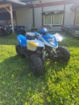 Polaris Phoenix