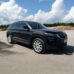 Skoda Kodiaq 2.0 TDI 4x4 Businessline Euro 6