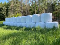 30 st Ensilagebalar Okänt