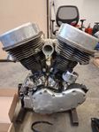 HD Panhead