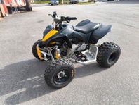 Can-Am DS 90 X