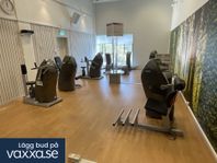 9 st Milon gymträningsmaskiner