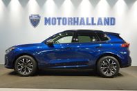 Cupra Terramar 1.5 ETSI 150 DSG7 MILDHYBRID