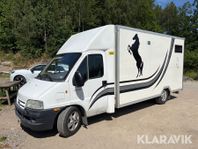 Hästbuss Citroën Jumper Förlängd
