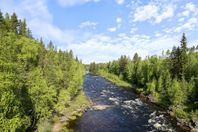 Skogsmark vid väg i Storforsen