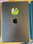 iPad (nionde generationen) via konkursauktion