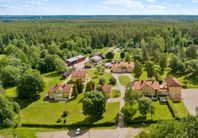 Bjurfors 25